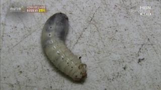 미리보기 이미지
