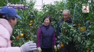 미리보기 이미지