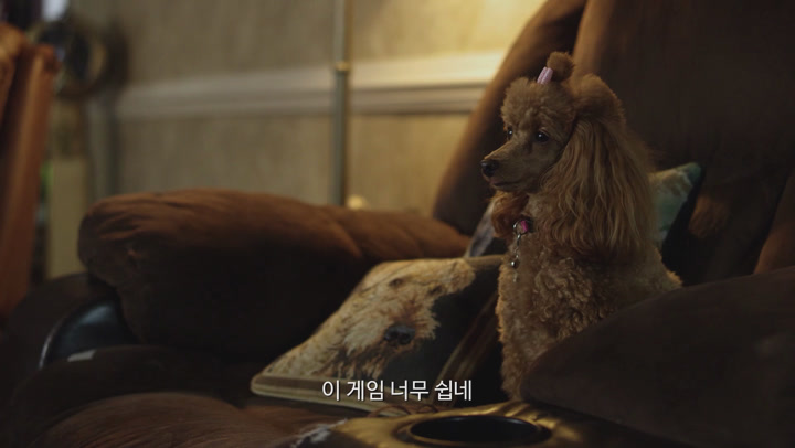 그들의 찐 수사가 시작된다 [ 피터와 댕댕이 탐정단 ] 비둘기 재단 추천 영화_bkmv 비디오 썸네일 이미지