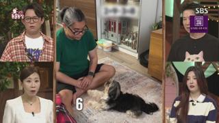 미리보기 이미지