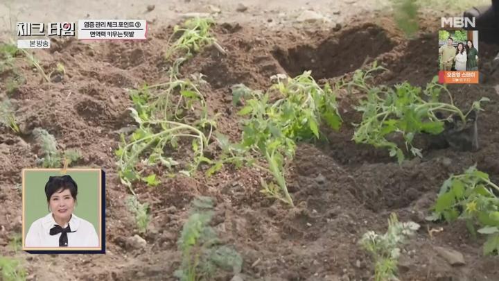 한번 더 체크타임.E250(질병의 늪, 만성 염증 잡고 면역력을 높여라).250630.720p.avi 비디오 썸네일 이미지
