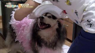 미리보기 이미지