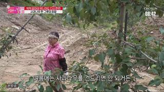 미리보기 이미지