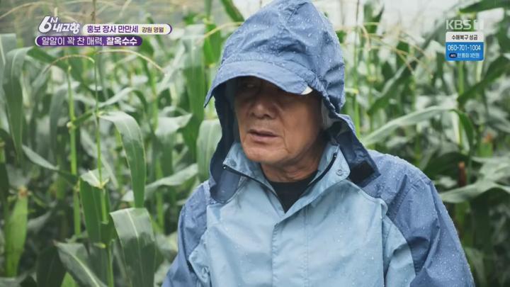 6시 내고향.E8328.250722.720p.H264-F1RST 비디오 썸네일 이미지