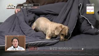 미리보기 이미지