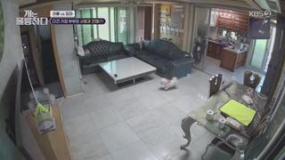 미리보기 이미지