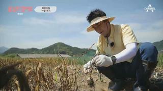 미리보기 이미지