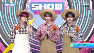 미리보기 이미지