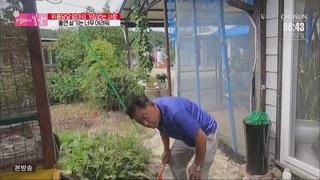 미리보기 이미지