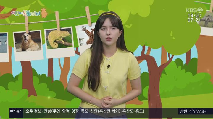 어린이 동물티비.E181.250718.1080p.H264-F1RST 비디오 썸네일 이미지