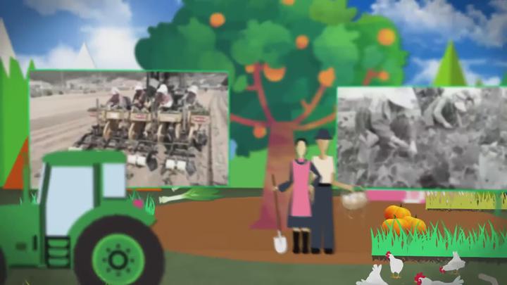농업기술_고구마농사! 이제 기계에 맡기세요 비디오 썸네일 이미지