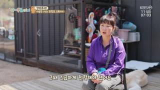미리보기 이미지