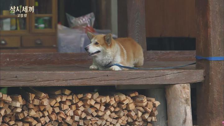삼시세끼 시즌5 고창편.E09.160826.1080p-FHD 비디오 썸네일 이미지