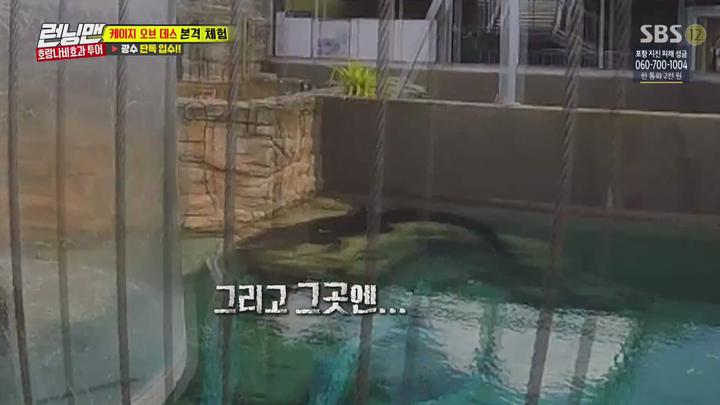 런닝맨.E379.171203.1080p-NEXT 비디오 썸네일 이미지