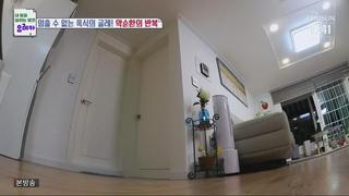 미리보기 이미지