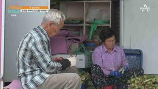미리보기 이미지