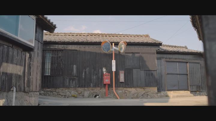 [고양이와 할아버지]랜선 집사님들 우리섬에 놀러오세요 비디오 썸네일 이미지