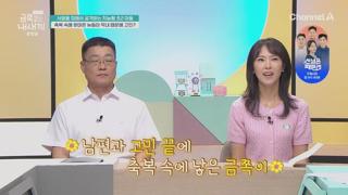 미리보기 이미지
