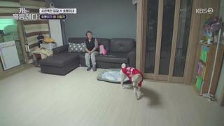 미리보기 이미지