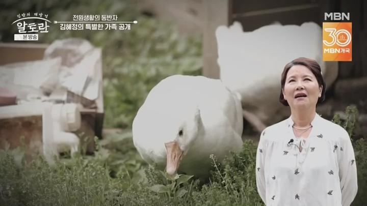 알토란.E547.250629.720p.HANNA 비디오 썸네일 이미지