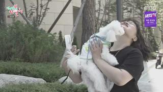 미리보기 이미지