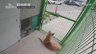 미리보기 이미지