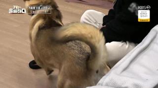 미리보기 이미지