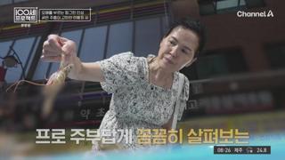 미리보기 이미지