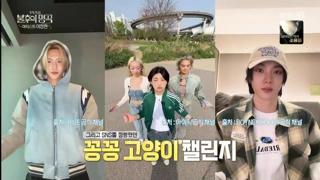 미리보기 이미지