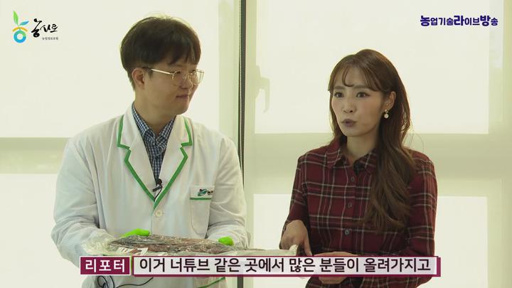 귀농교육_소고기 드라이에이징. 이틀만에 끝!! 비디오 썸네일 이미지