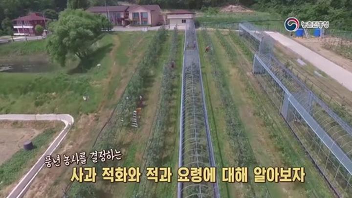 사과 적화 적과 요령 - 적화시기 및 방법 비디오 썸네일 이미지