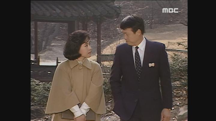 사랑과 야망.E14.870222.1080p.avi 비디오 썸네일 이미지