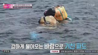 미리보기 이미지