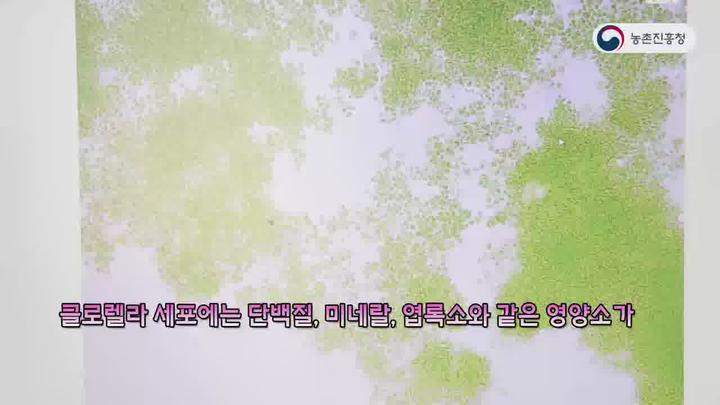 농업기술_담수 클로렐라 자가 배양 따라하기 비디오 썸네일 이미지