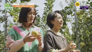 미리보기 이미지