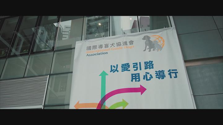 리틀 큐 [1080p] -임달화, 양영기, 양채니- 정식릴 비디오 썸네일 이미지