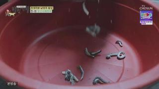 미리보기 이미지