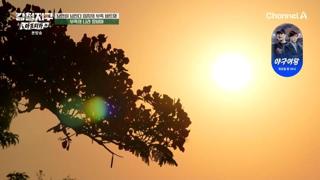 미리보기 이미지