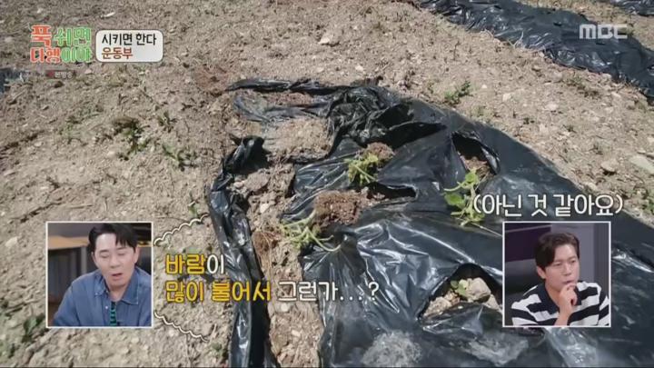 푹 쉬면 다행이야.E09.240624.720p.H264-F1RST 비디오 썸네일 이미지