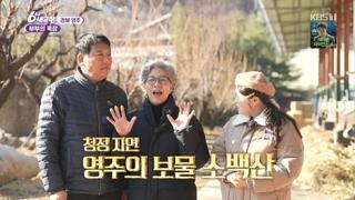 미리보기 이미지