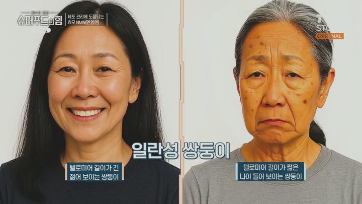 슈퍼푸드의 힘.E174.250615.720p.KANNA 비디오 썸네일 이미지