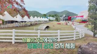 미리보기 이미지