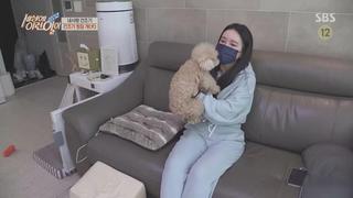 미리보기 이미지