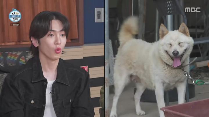 나 혼자 산다.E562.240913.1080p.WA 비디오 썸네일 이미지