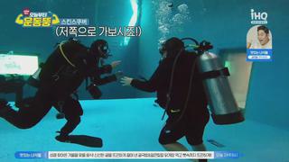 미리보기 이미지