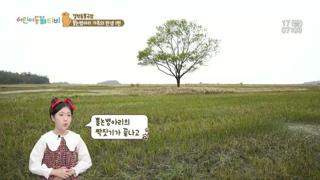 미리보기 이미지