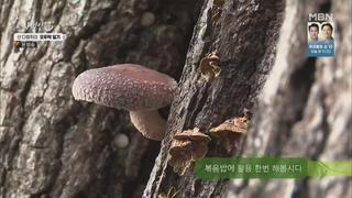 미리보기 이미지