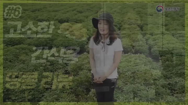 땅콩 주요 육성 품종 - 간식용 땅콩 비디오 썸네일 이미지