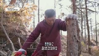 미리보기 이미지