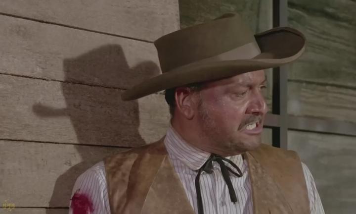 The Stranger Returns(1967)_이방인의 귀환 비디오 썸네일 이미지